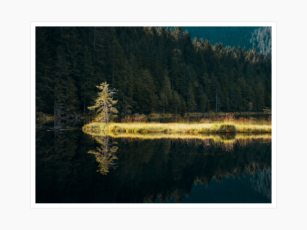 Max Schiefele Alle Bilder  DSF0980